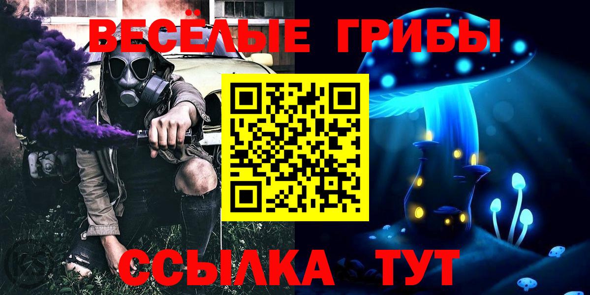 купить наркоту  Вход с VPN  Асино  Галлюциногенные грибы Psilocybe 