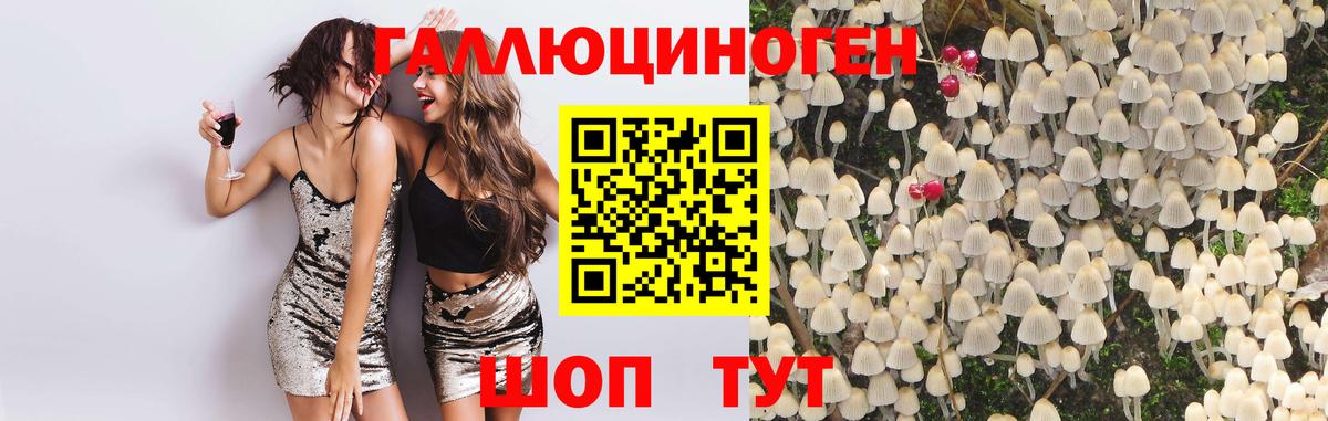 Галлюциногенные грибы мухоморы Асино